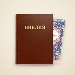 Bibles