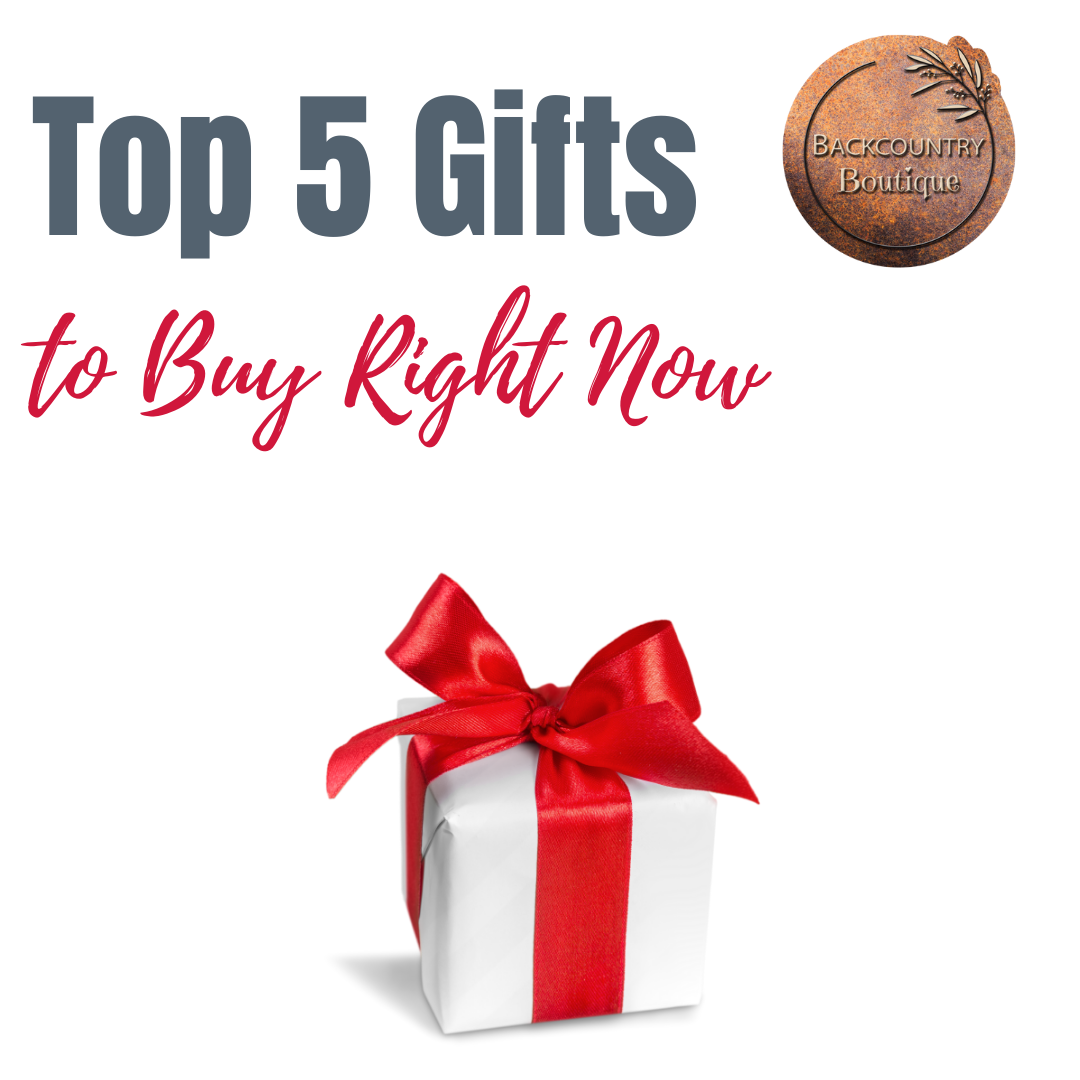 Top 5 Christmas Gifts to Buy Right Now
