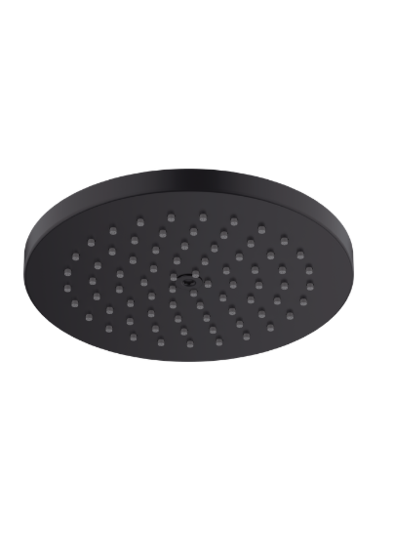 Hansgrohe Hansgrohe Raindance S Showerhead  1-Jet PowderRain, 1.75 GPM