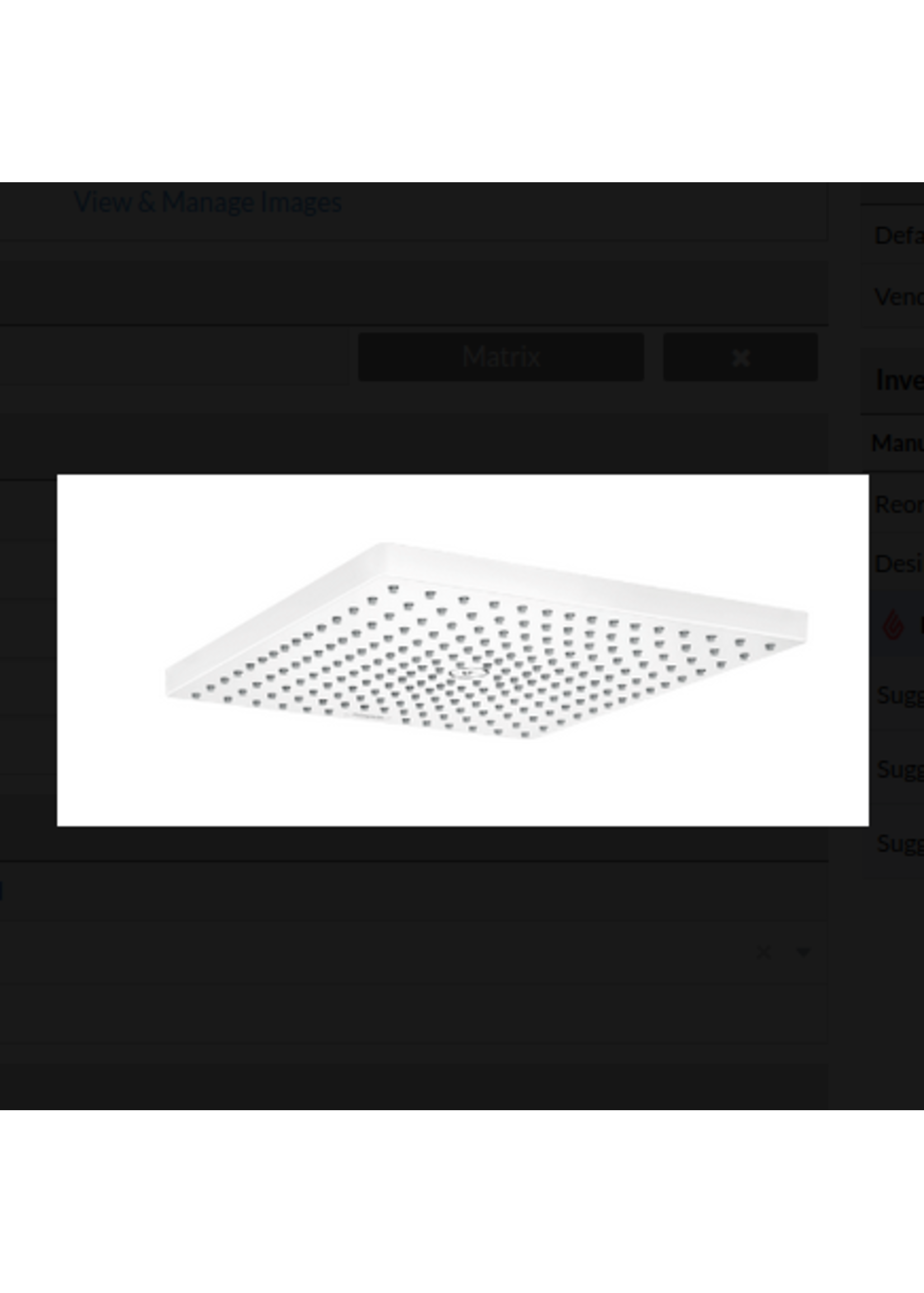 Hansgrohe Hansgrohe Raindance 300 E Shower head 1-pattern 1.8 gpm 11-3/4x11-3/4