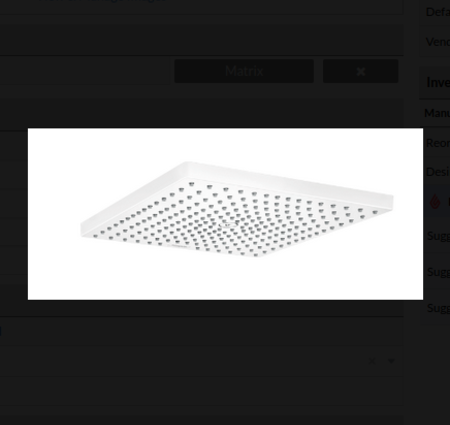 Hansgrohe Raindance 300 E Shower head 1-pattern 1.8 gpm 11-3/4x11-3/4