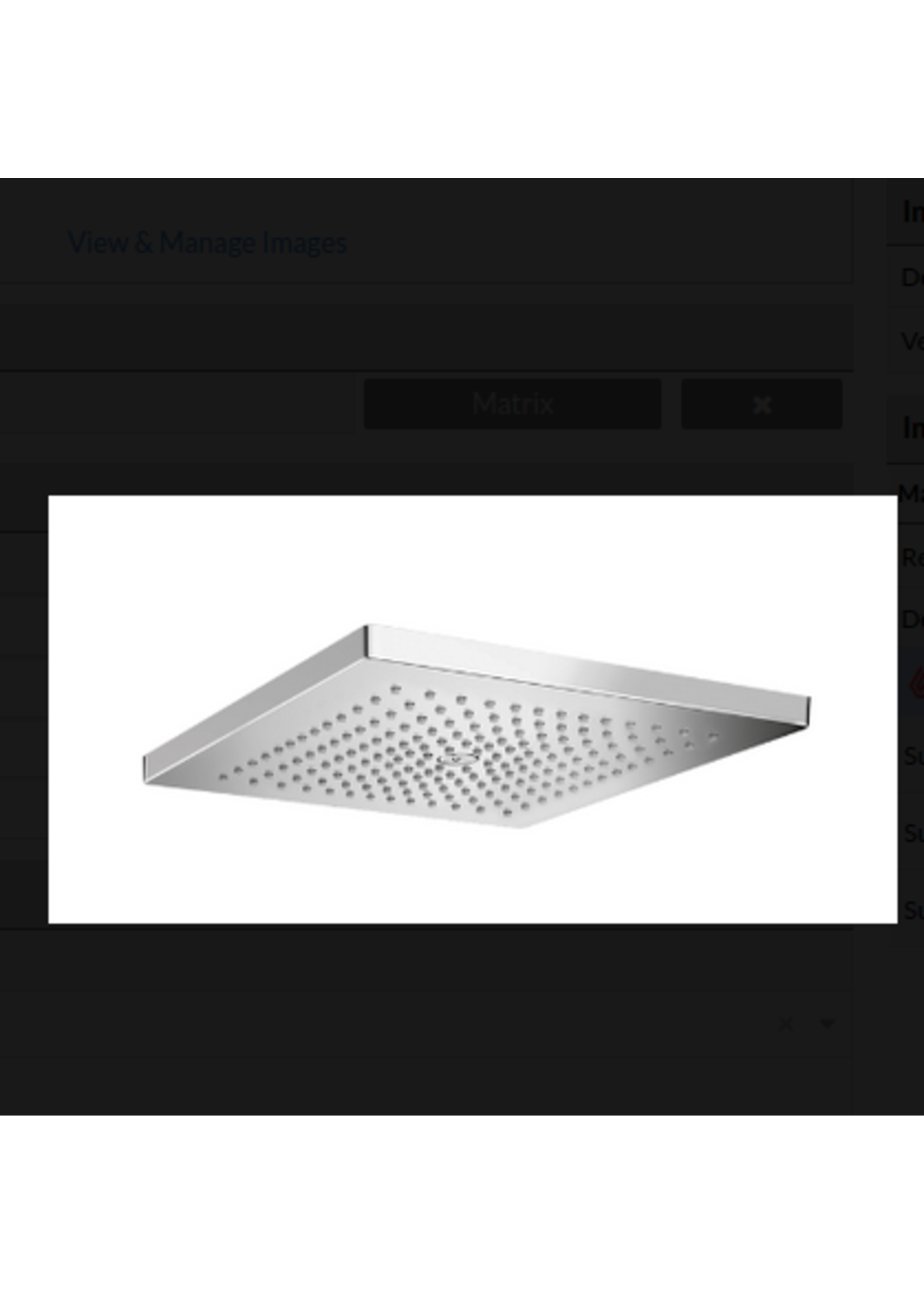 Hansgrohe Hansgrohe Raindance 300 E Shower head 1-pattern 1.8 gpm 11-3/4x11-3/4