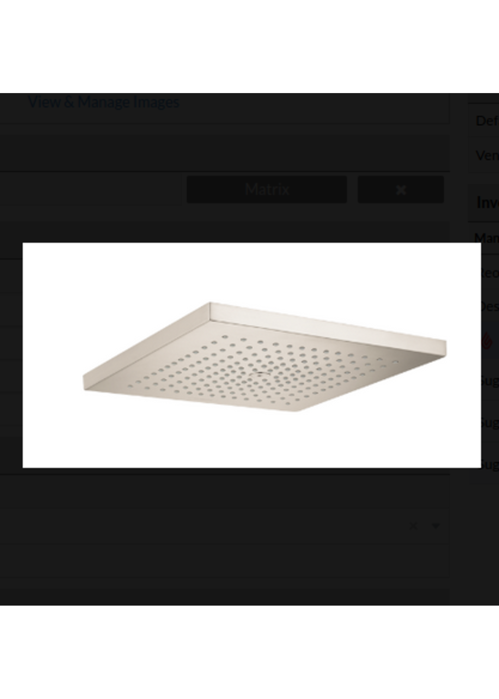 Hansgrohe Hansgrohe Raindance 300 E Shower head 1-pattern 1.8 gpm 11-3/4x11-3/4