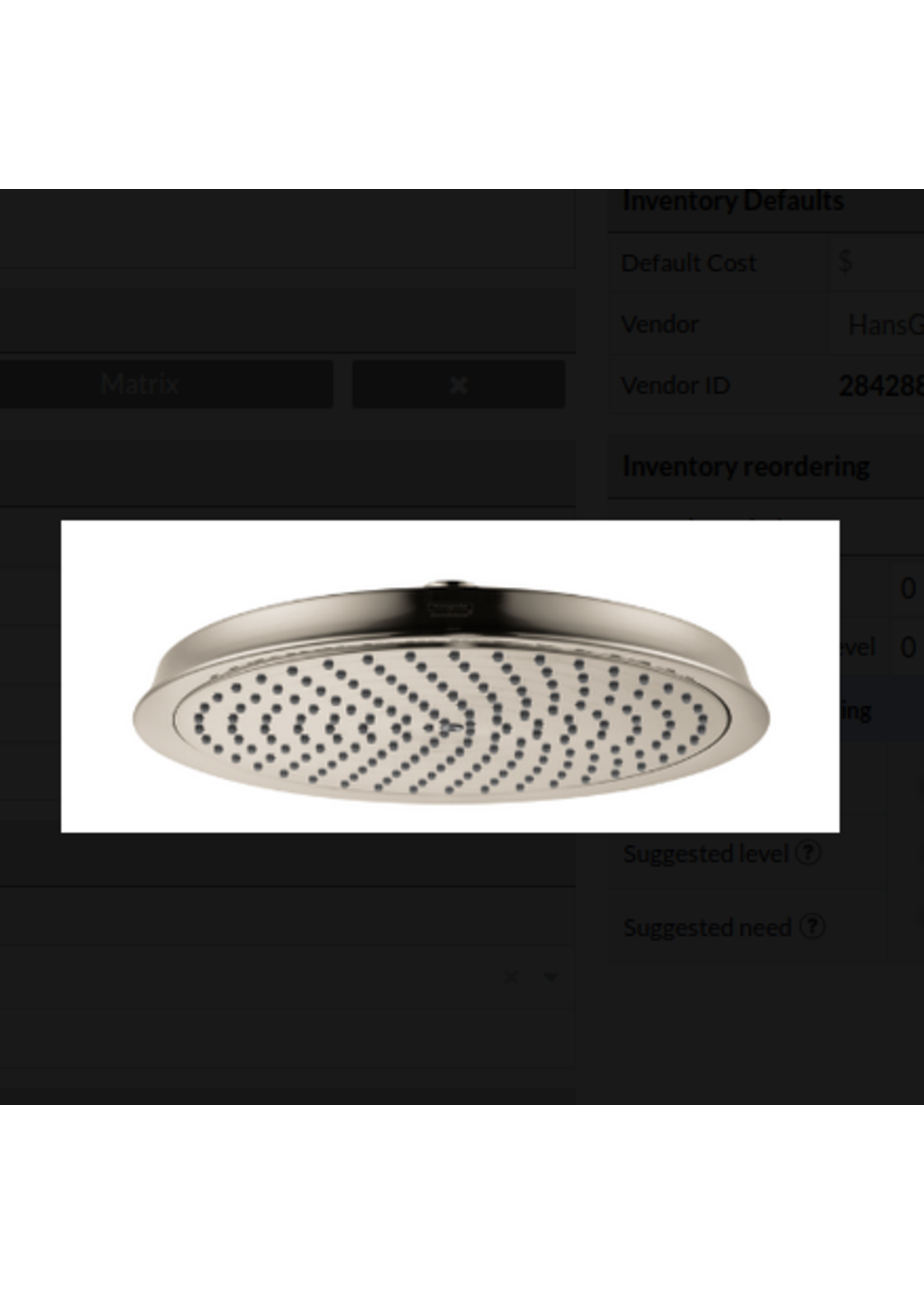 Hansgrohe Hansgrohe Raindance Classic Showerhead 240 1-Jet PowderRain, 1.75 GPM