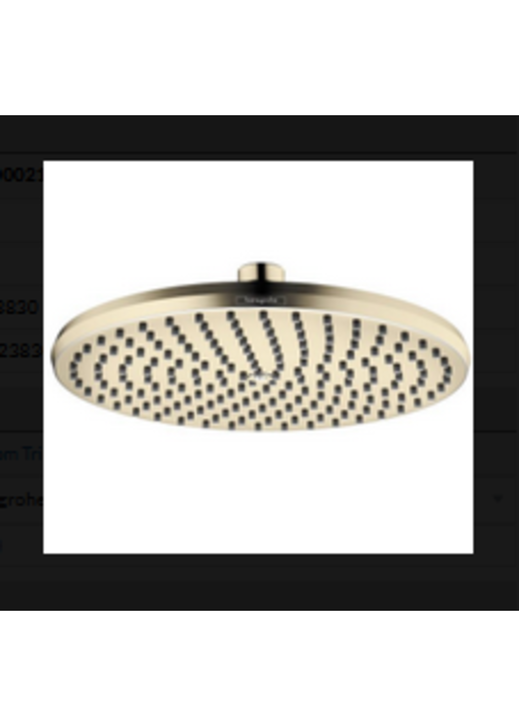 Hansgrohe Hansgrohe Locarno Showerhead 240 1-Jet, 1.75 GPM