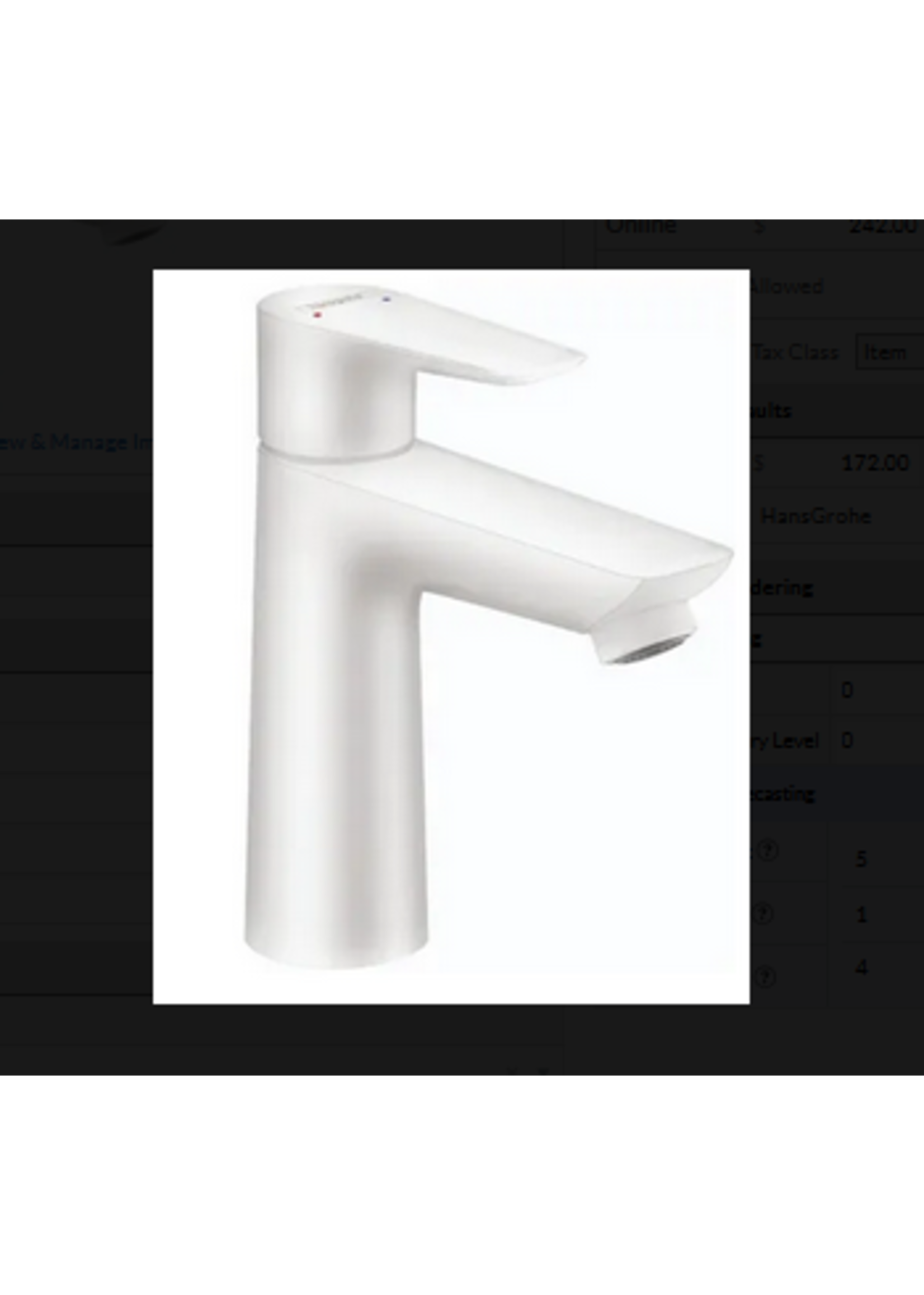 Hansgrohe Hansgrohe Talis E Single-Hole Faucet 110 with Pop-Up Drain, 1.2 GPM in