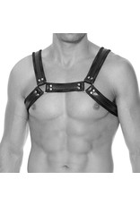 OUCH OUCH! BONDED LEATHER BULLDOG CHEST HARNESS L/XL