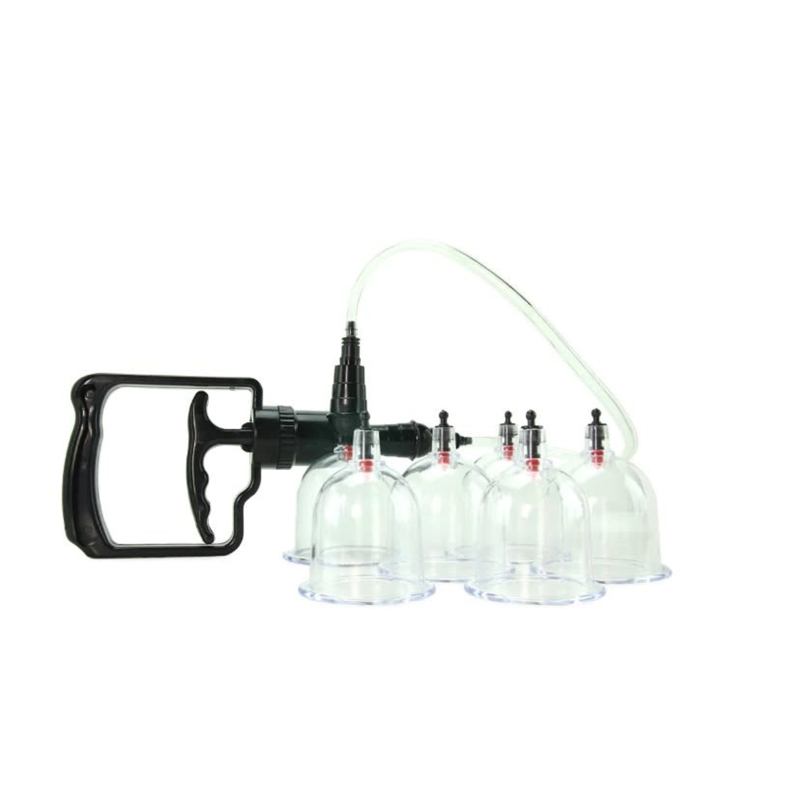 FETISH FANTASY FETISH FANTASY BEGINNER'S 6PC CUPPING SET