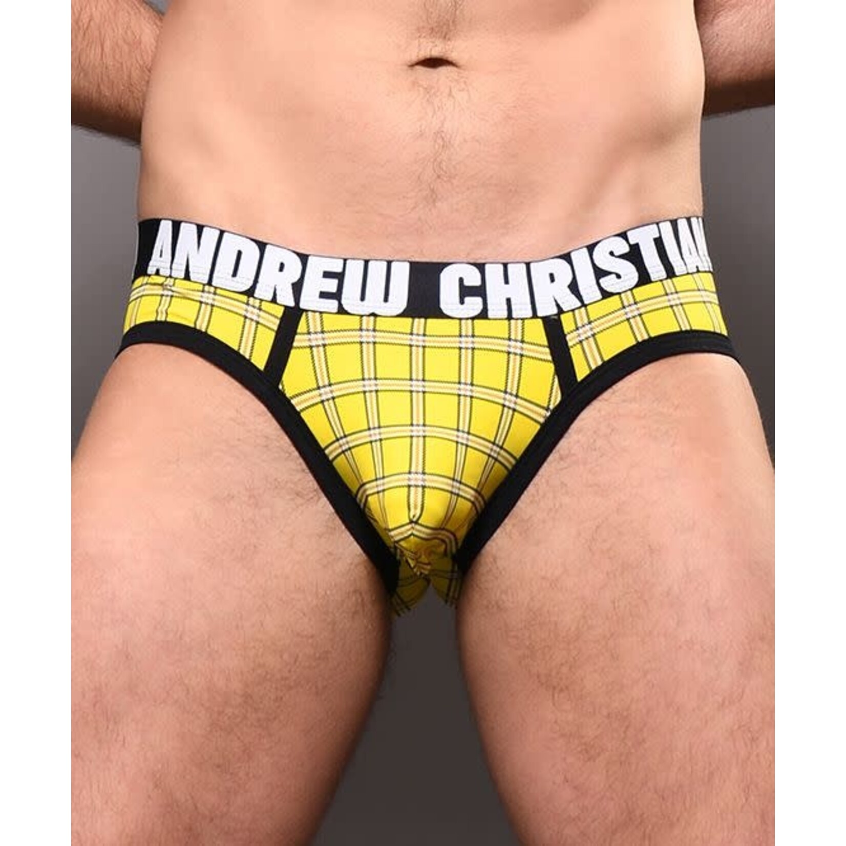 ANDREW CHRISTIAN ANDREW CHRISTIAN - PLAID BRIEF W/ ALMOST NAKED SMALL