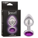 CALEXOTICS JEWEL LARGE AMETHYST PLUG