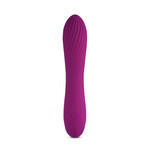 10 SPEEDS RECHARGEABLE SILICONE PURPLE COLOR CLASSIC VIBRATOR