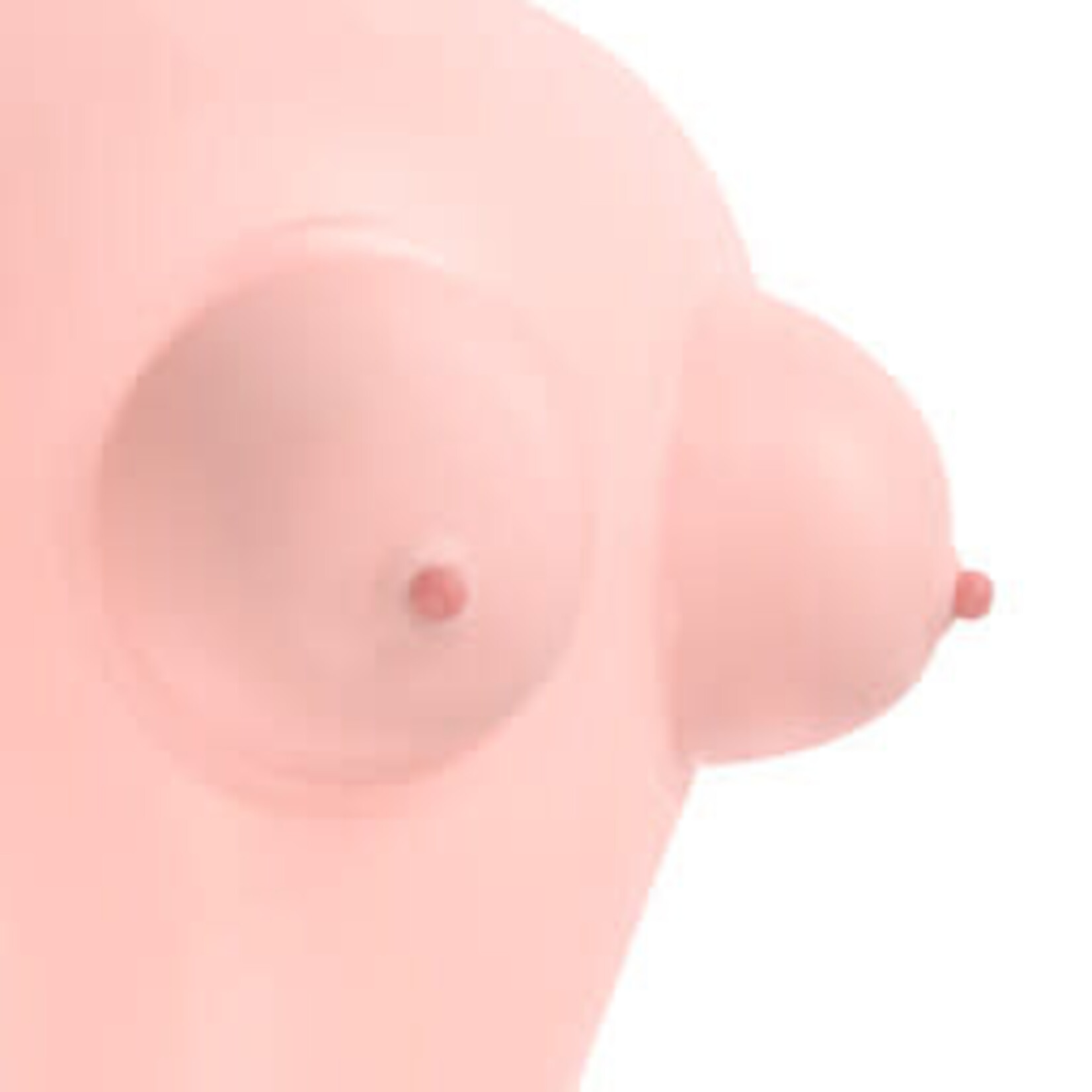 LOVEY-DOVEY INFLATABLE SEX DOLL #1