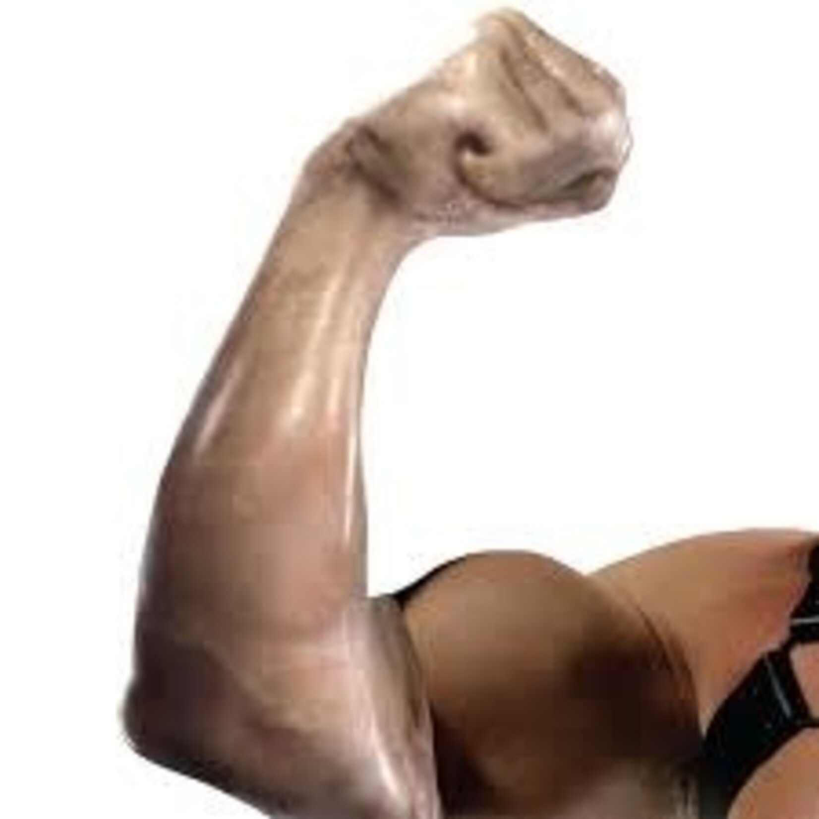 FORT TROFF FFISTER FROST