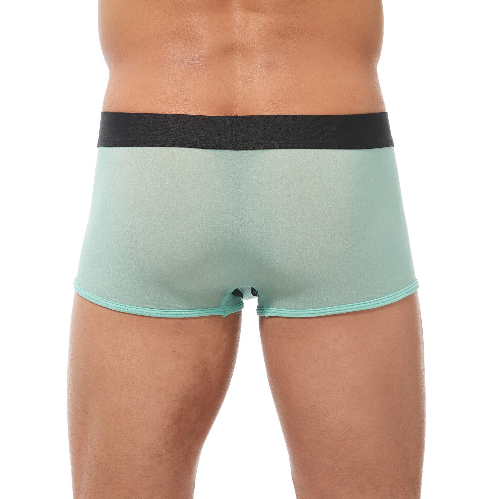 GREGG HOMME TORRIDZ TRUNKS MINT MEDIUM