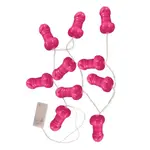 HOTT PRODUCTS - BACHELORETTE PARTY PECKER PARTY LIGHTS - 10 FT.