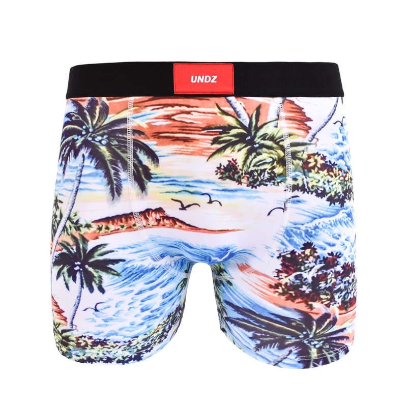 UNDZ Boxer UNDZ Sum20 Classic Retro Hawaiian