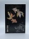 Carte de Souhait Jewels Two Fish Bug Art M146