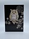 Carte de Souhait Jewels Owl Bug Art M139