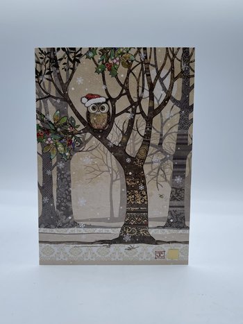 Carte de Souhait Christmas Santa Owl Tree Bug Art DC037