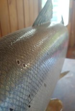 André Boucher Salmon sculpted on rocks