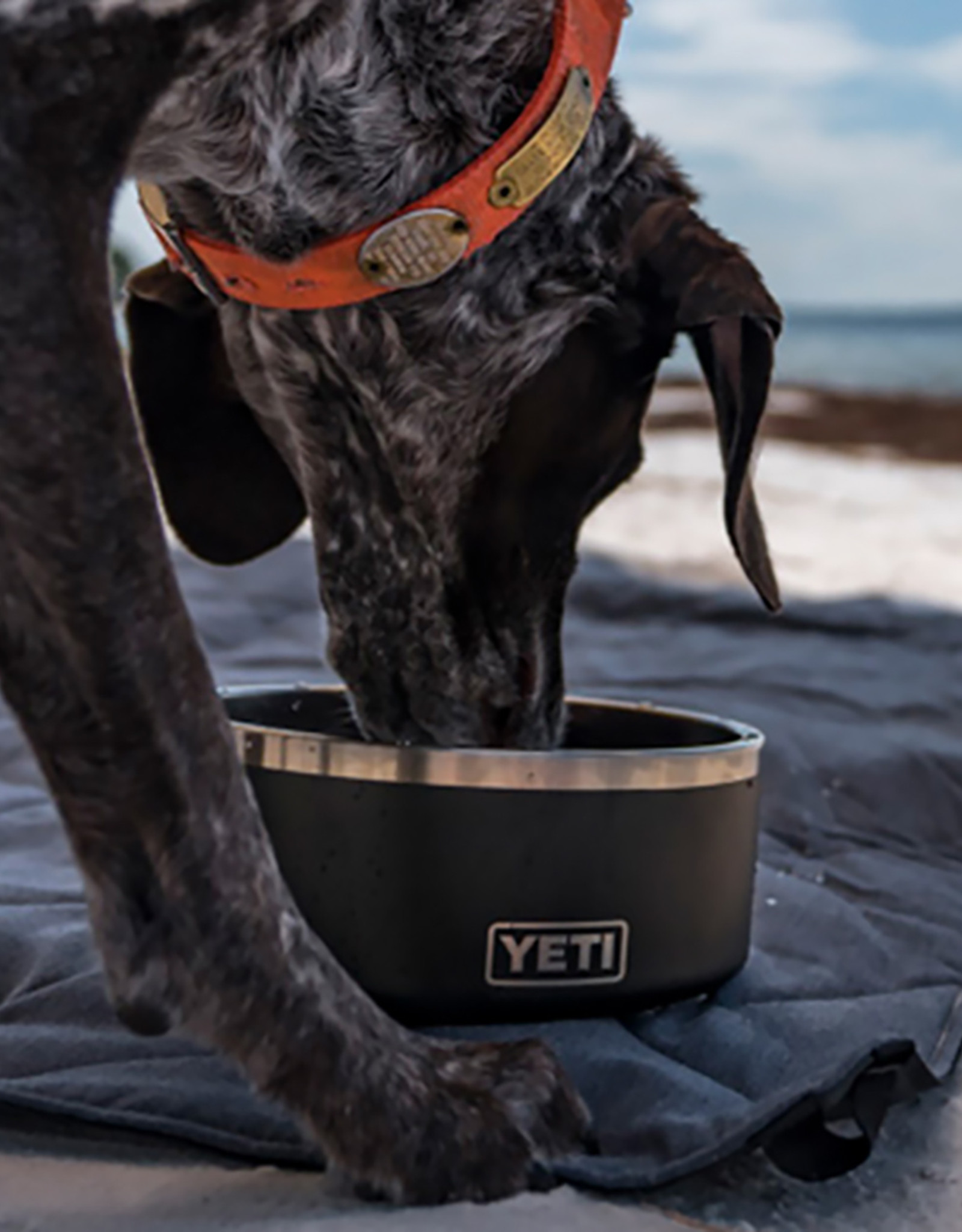 Yeti Dog Bowl - Sexton & Sexton