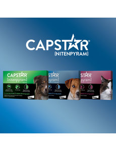 capstar flea tick