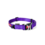 Ezy Dog DoubleUp Collar, Purple