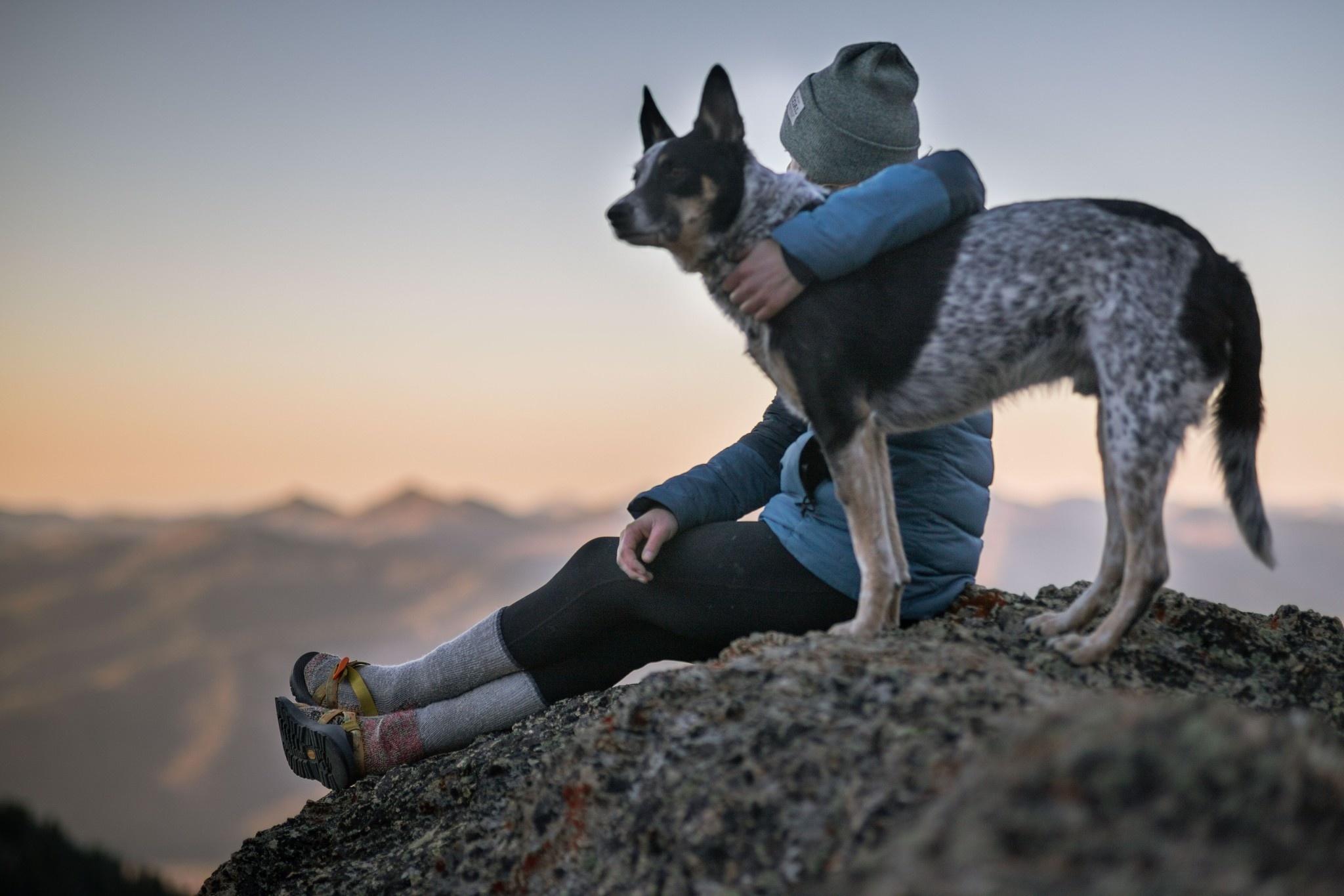 TAKE A WALK ON THE WILD SIDE: THE BENEFITS OF FEEDING RAW PET FOOD