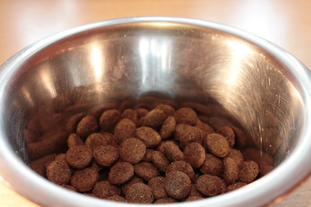 The Benefits of Local Pet Food Delivery in the Houston Area