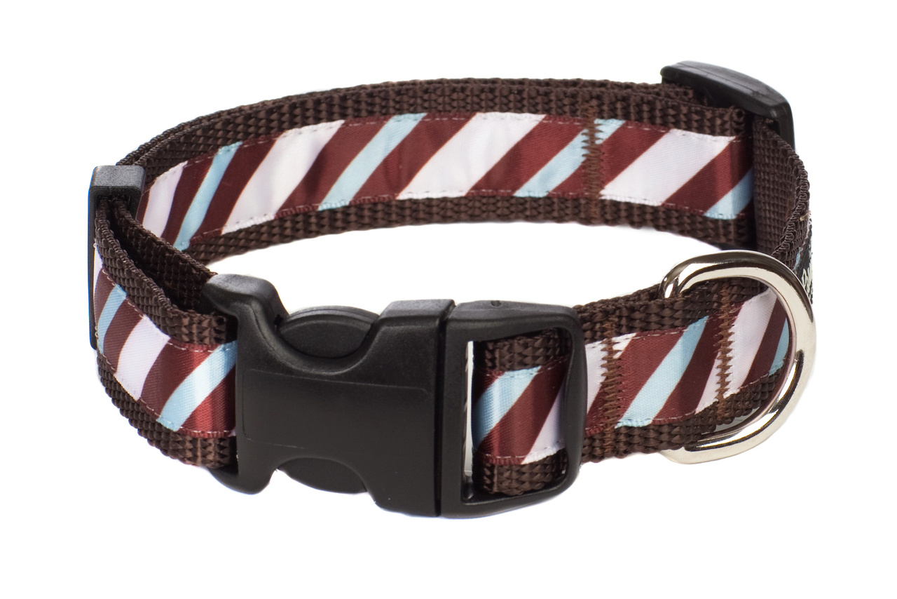 paw paws dog collars