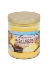 Smoke Odor Pineapple Coconut - Smoke Odor Candle