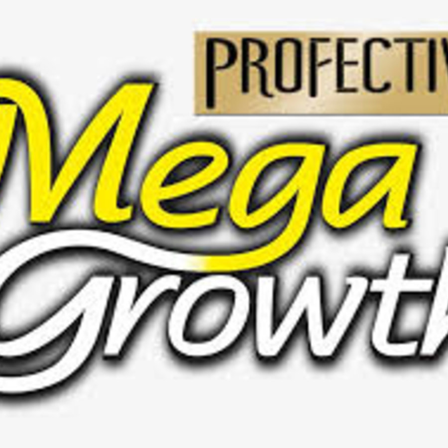 Profectiv
