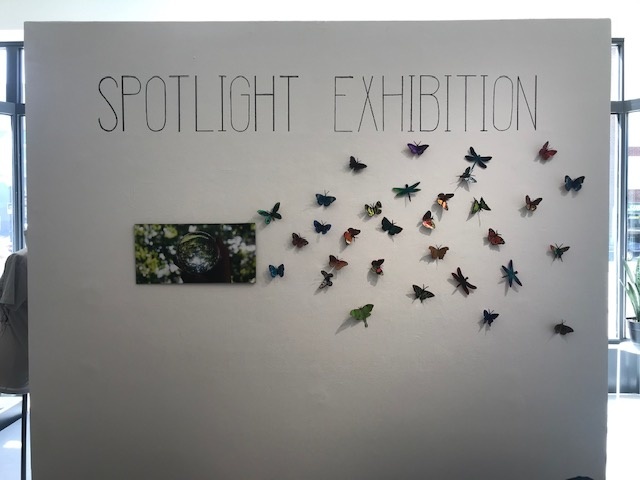 Spotlight Exhibition: EcoWorks 2019