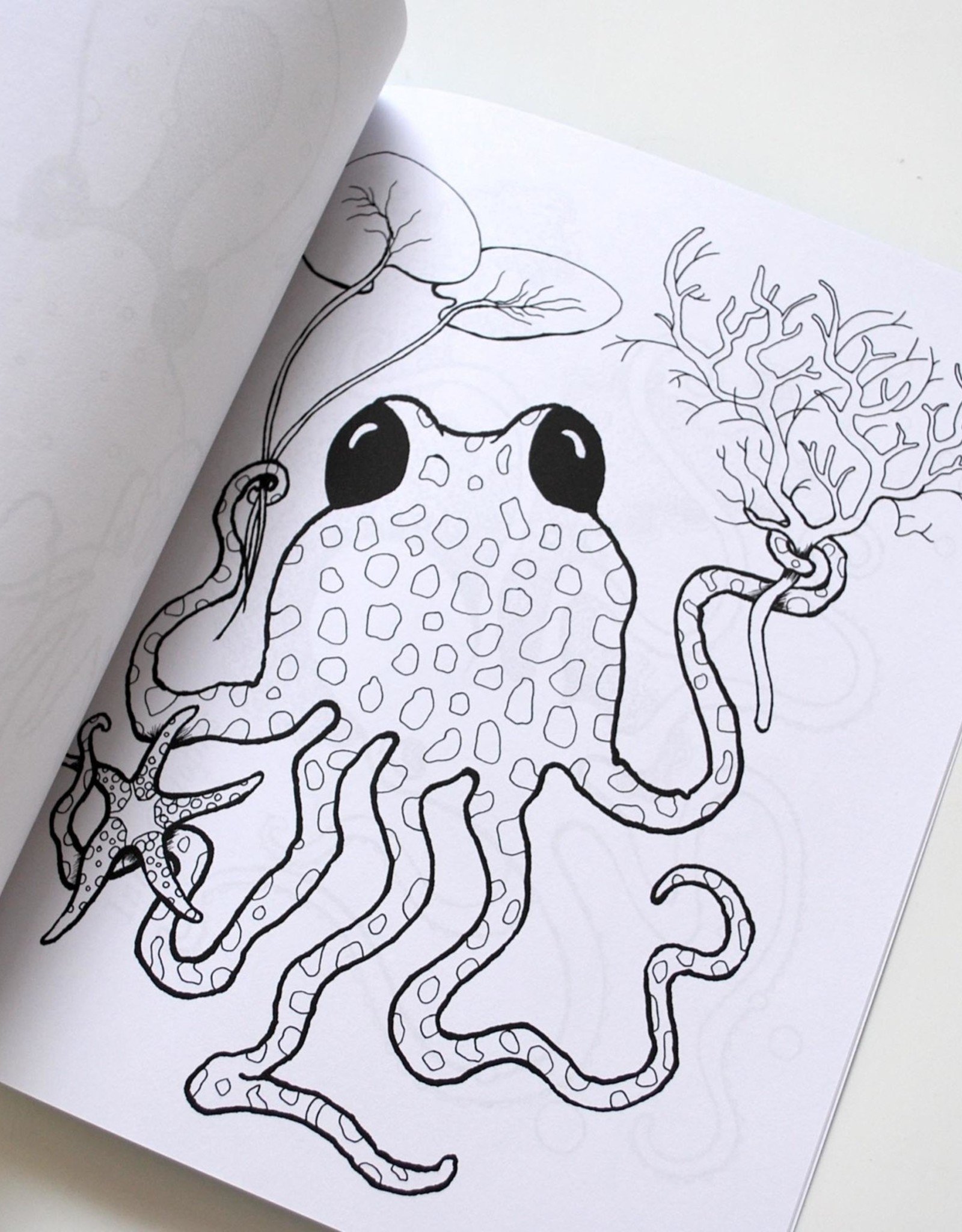 Melissa Rohr Gindling Octopus Coloring Book by Melissa Rohr Gindling