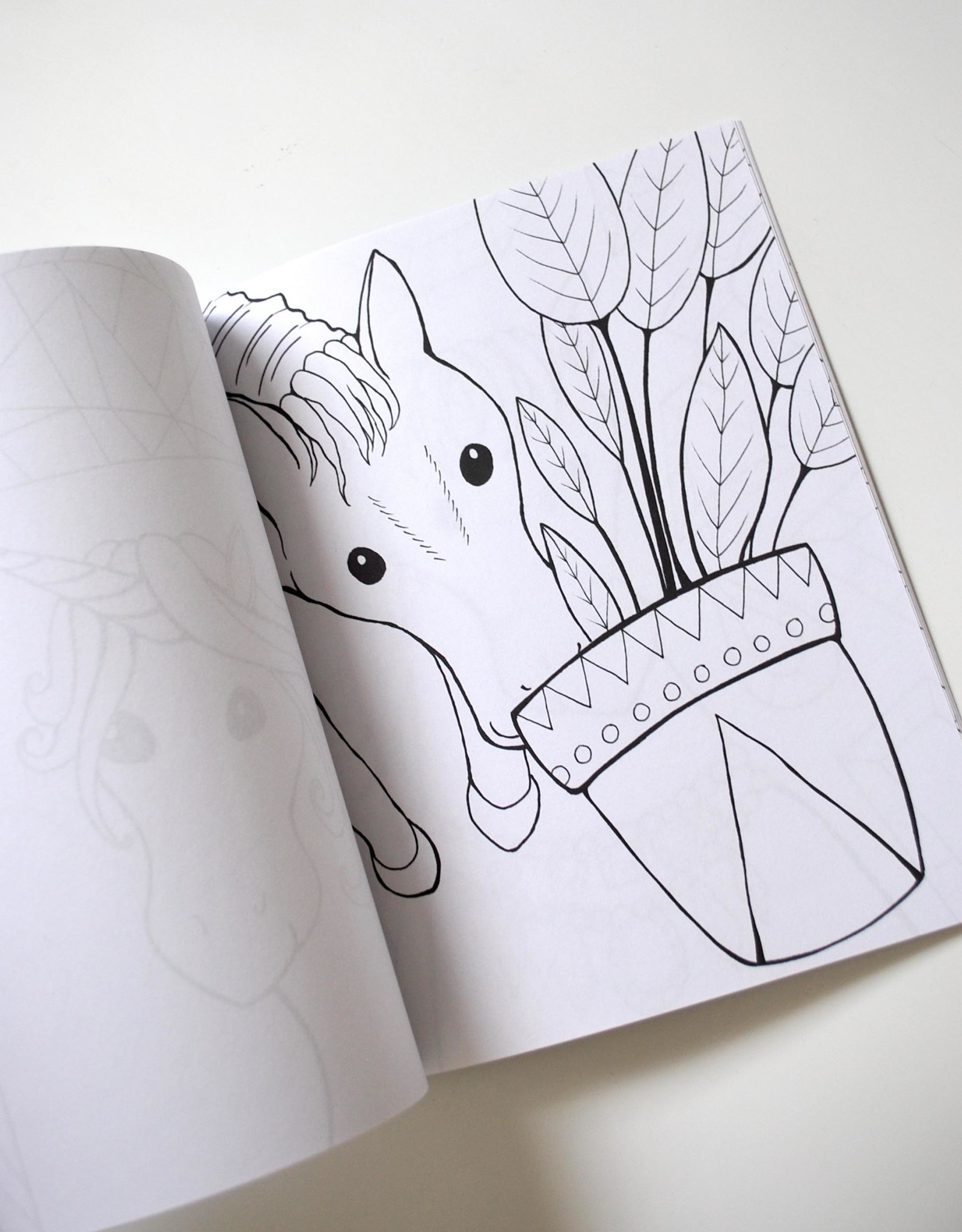 Melissa Rohr Gindling Unicorn and Pony Coloring Book by Melissa Rohr Gindling