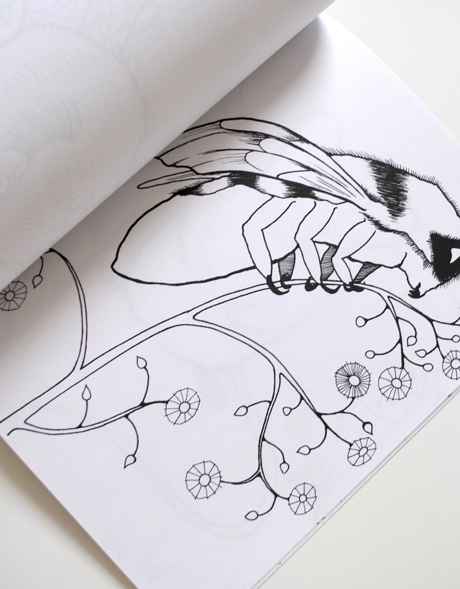 The Island Octopus Woodland Coloring Book by The Island Octopus