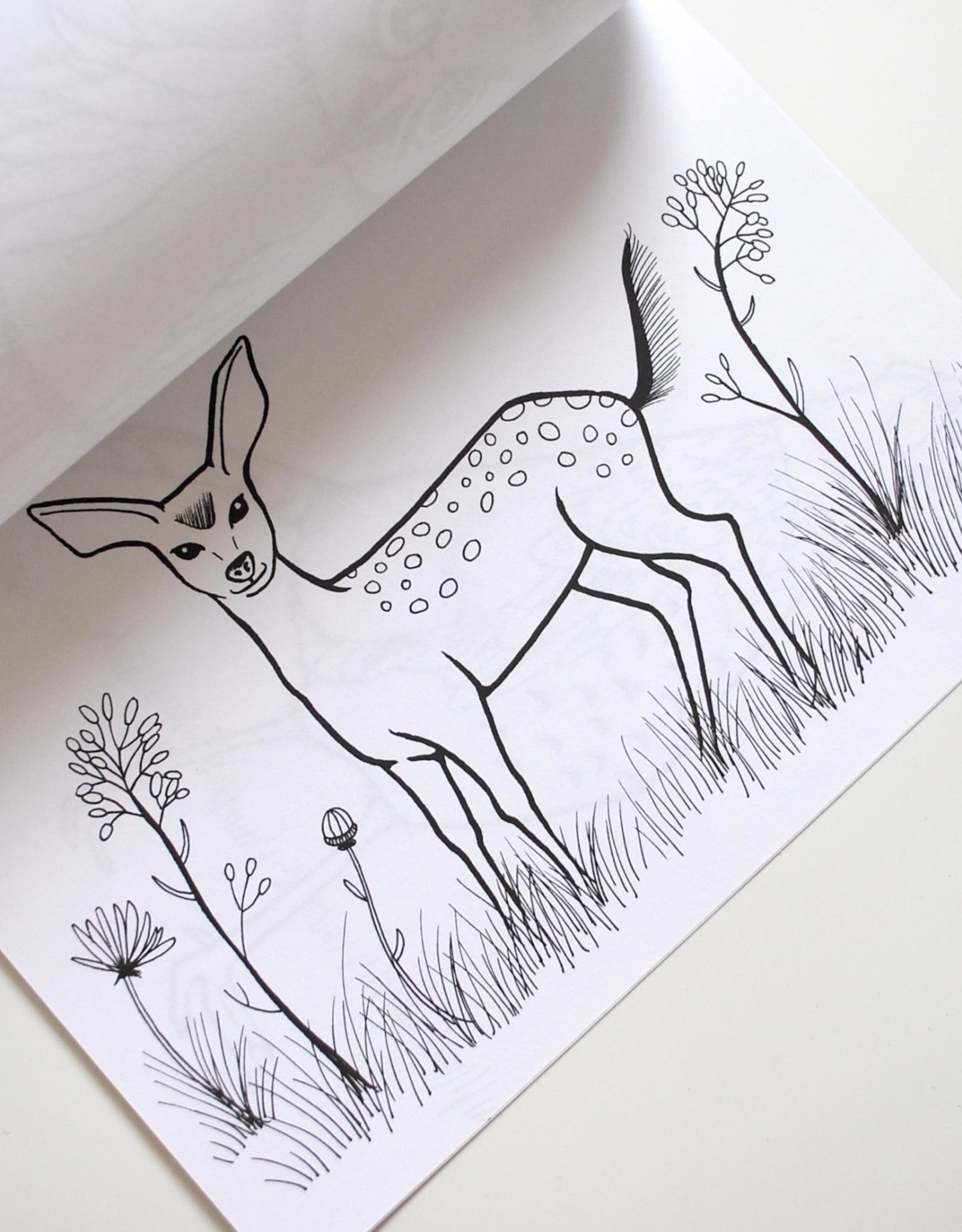 Melissa Rohr Gindling Woodland Coloring Book by Melissa Rohr Gindling
