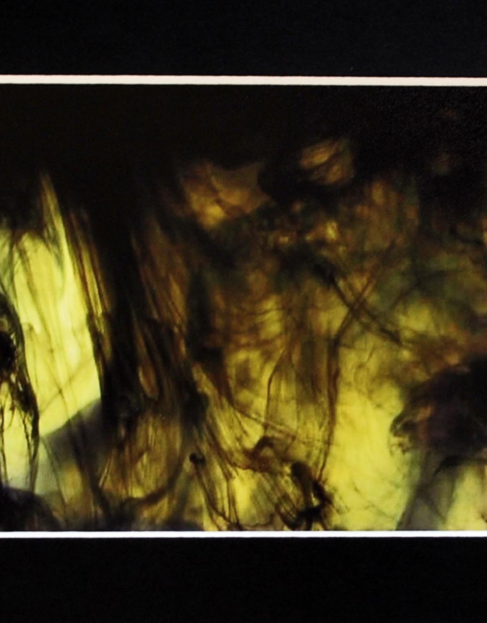 Daria Percy Untitled 2 (chartreuse) Matted 4x6 photograph by Daria Percy