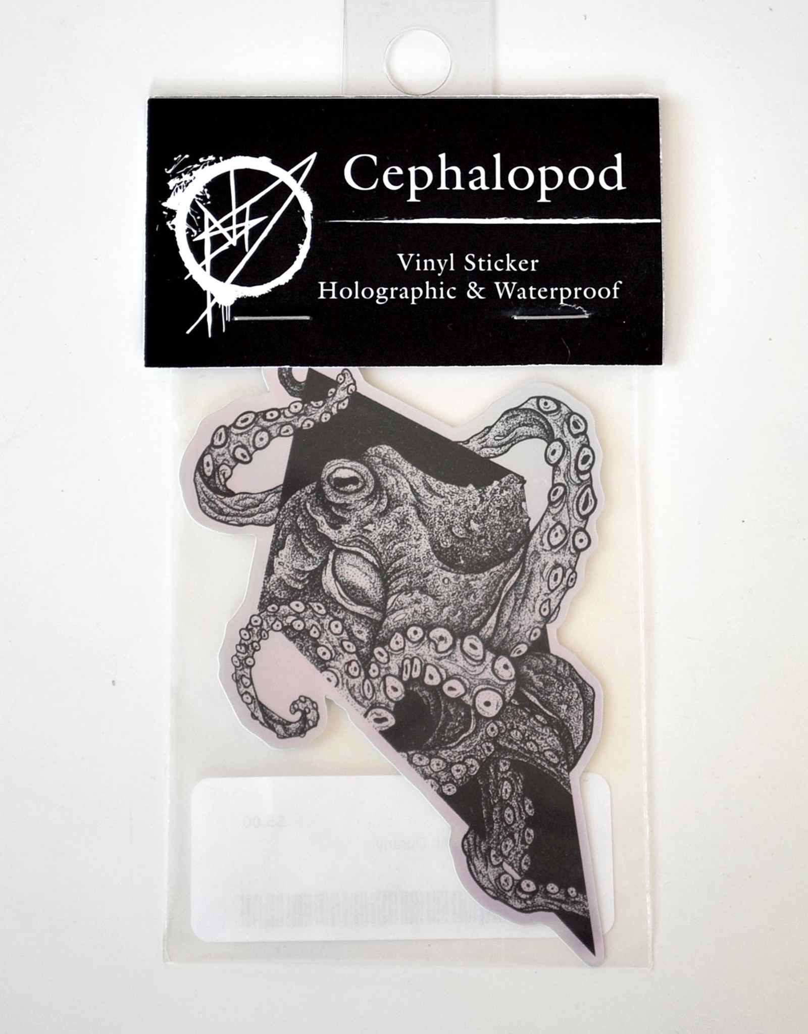 Cephalopod by Noah Durany