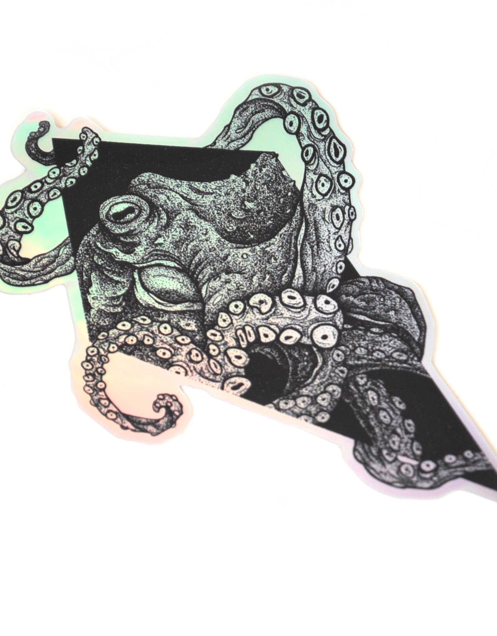 Cephalopod by Noah Durany
