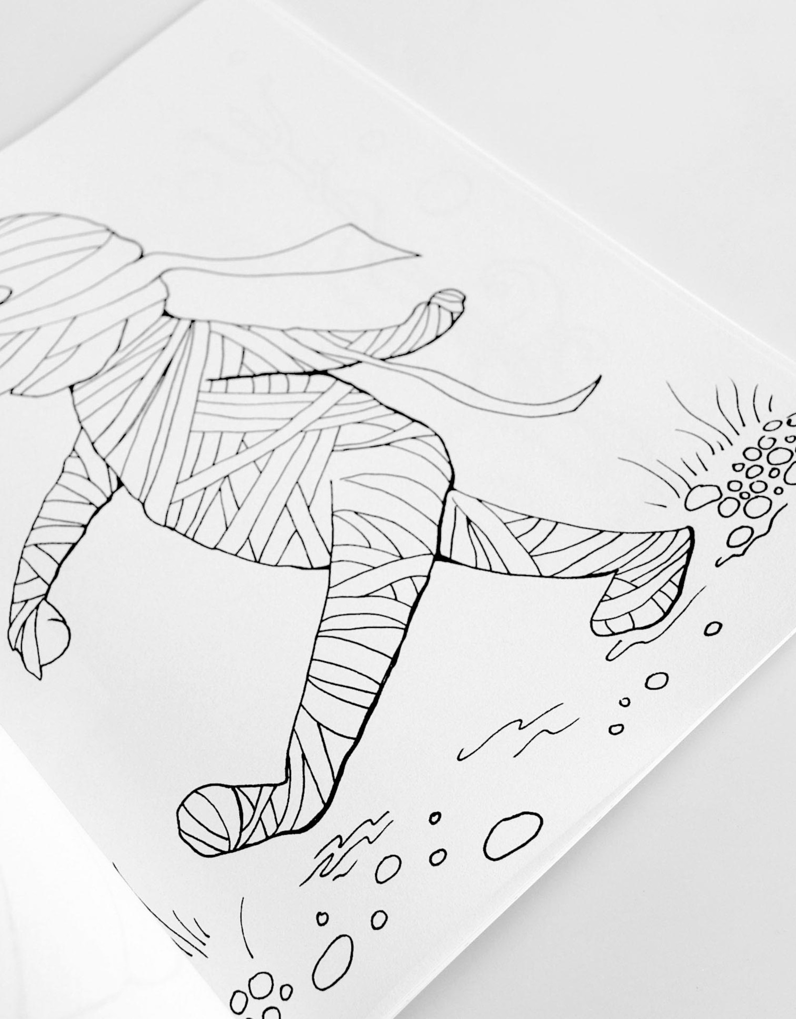 The Island Octopus Halloween Coloring Book by Melissa Rohr Gindling