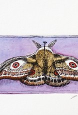 “Moth” etching with purple hand watercoloring, Lily Cozzens