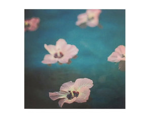 4x4-tropical-flower-photo-2-by