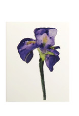 Purple Iris Greeting Card by Michele Williams