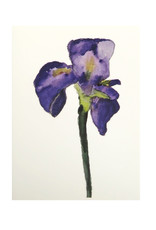 Purple Iris Greeting Card by Michele Williams