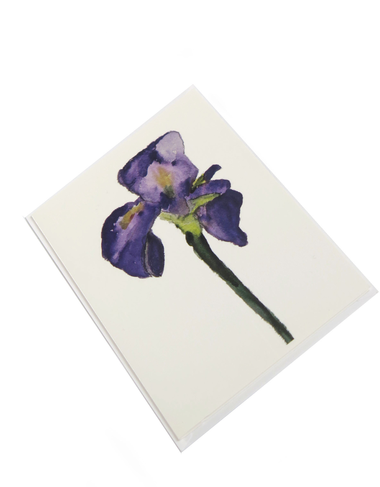Purple Iris Greeting Card by Michele Williams
