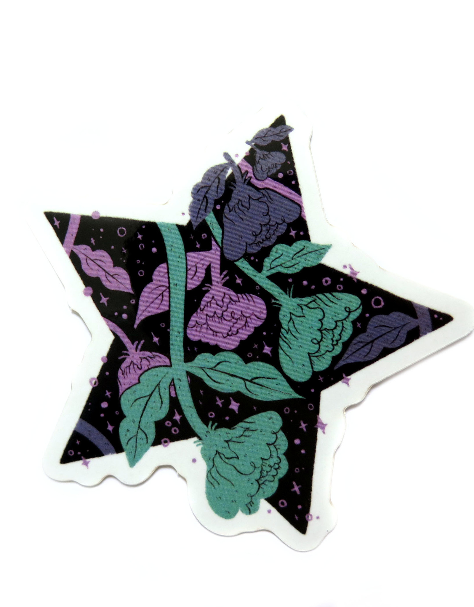 Manifest Manifest 2021 Waterproof Star Sticker