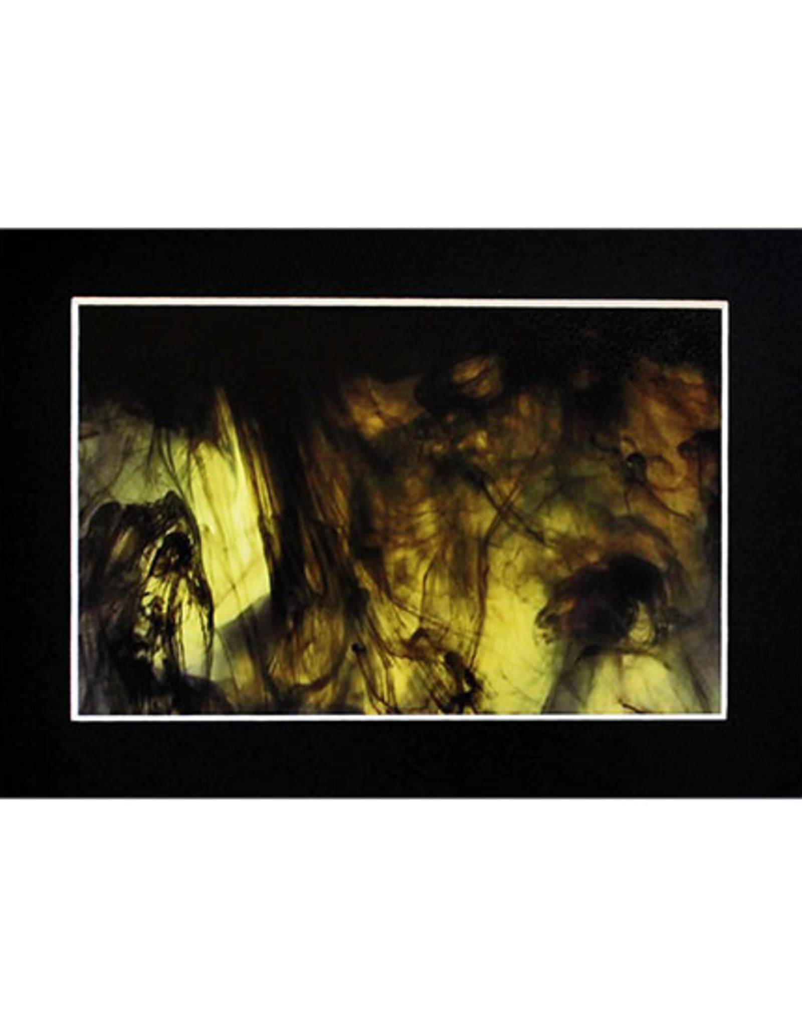 Daria Percy Untitled 2 (chartreuse) Matted 4x6 photograph by Daria Percy