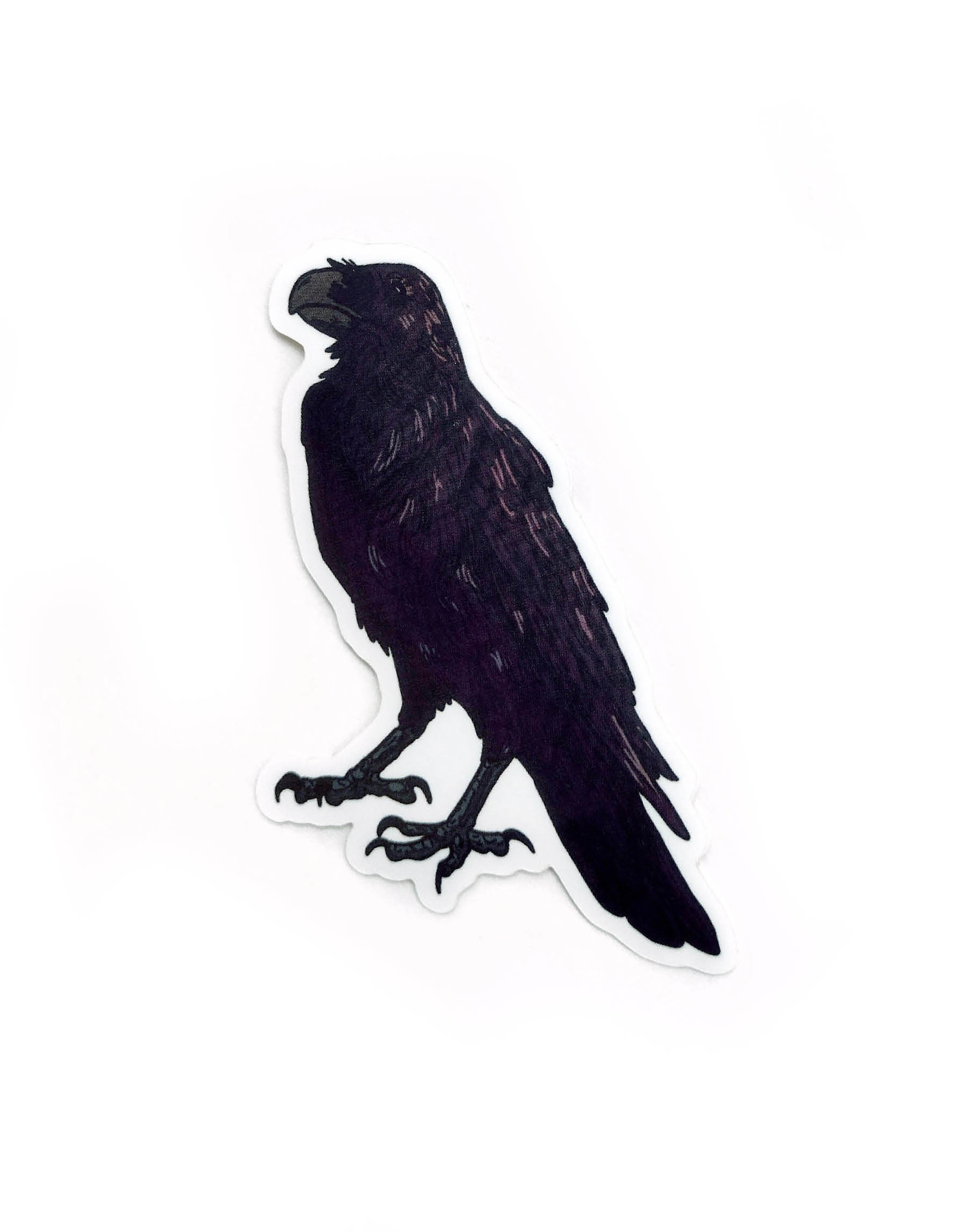 American Crow Vinyl Sticker by Corvidsol