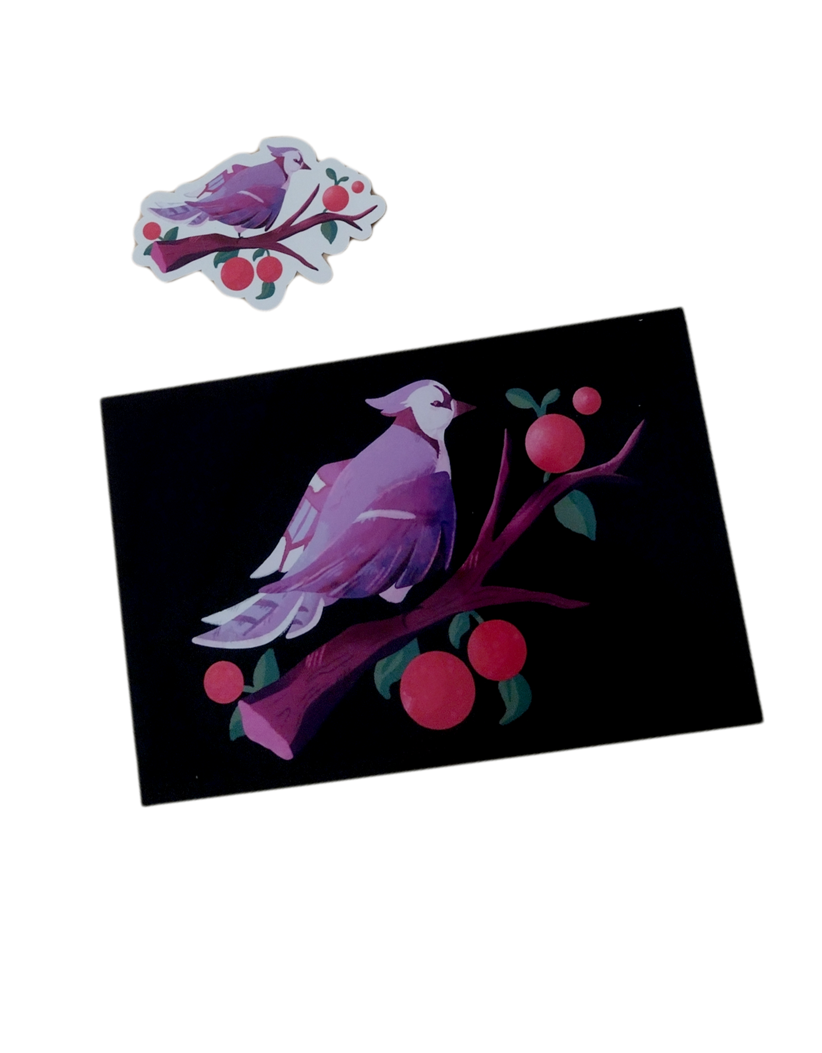 WishingOwls "Blue Jay" print + sticker by WishingOwls